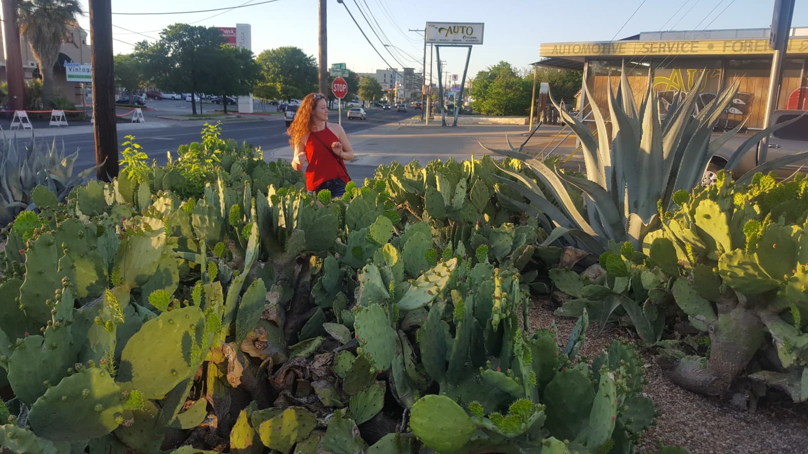 Austin, Texas is Green?