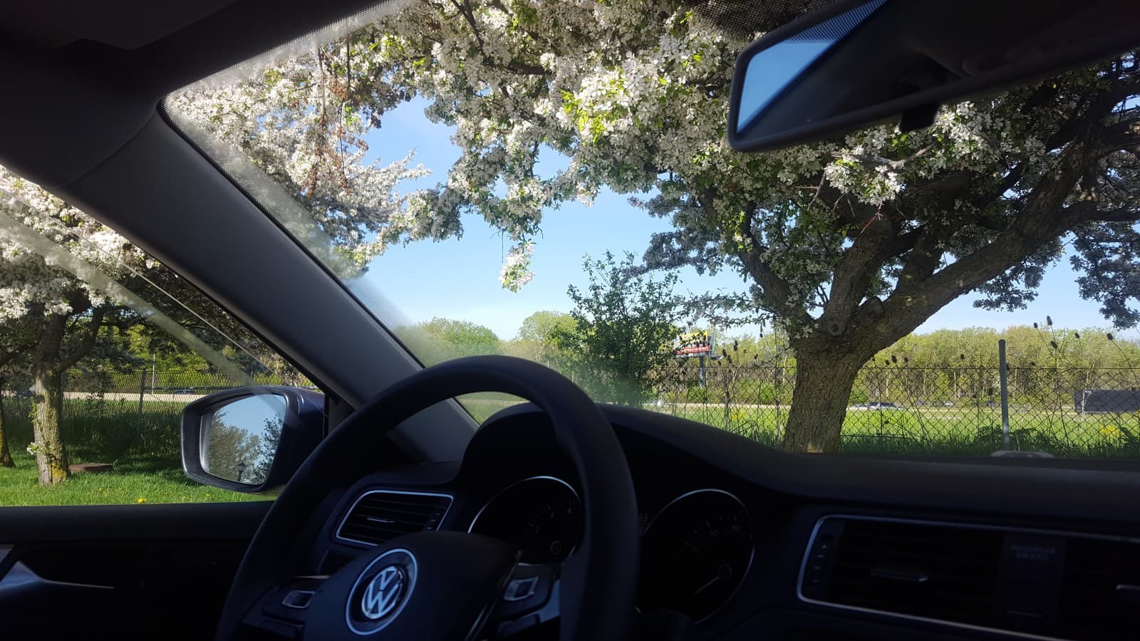 Chicago Has GREAT Hot Dogs