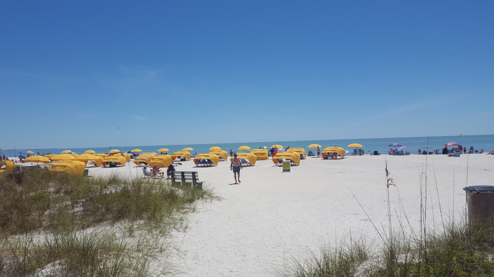 Hello, St. Pete Showers!